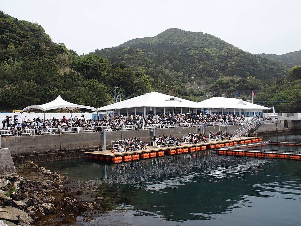 うみたま体験パーク「つくみイルカ島」（大分）