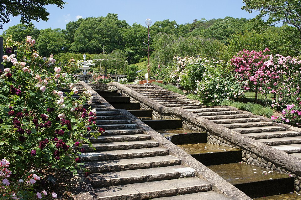 北山緑化植物園（兵庫）