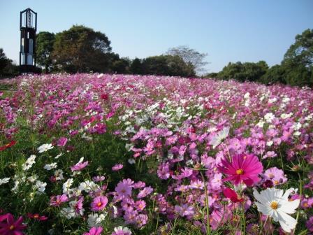 熊本市動植物園（熊本）