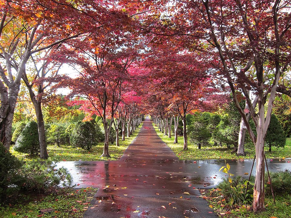 平岡樹芸センター（北海道）