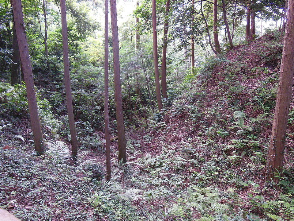 野田城（愛知）