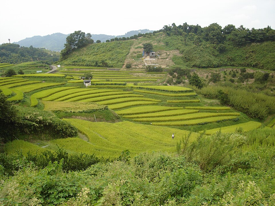 上赤坂城（大阪）