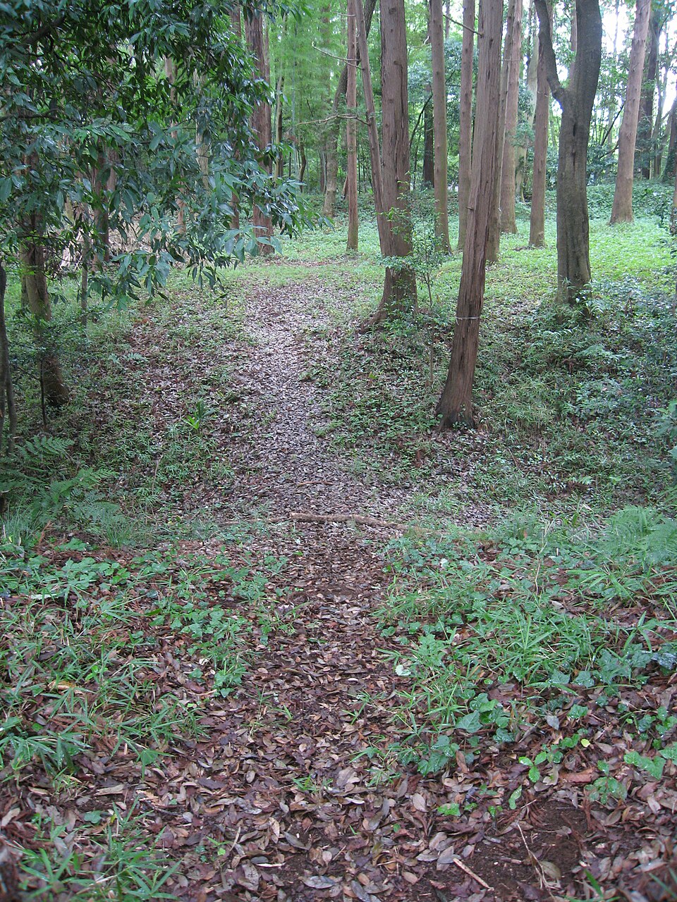 根戸城（千葉）