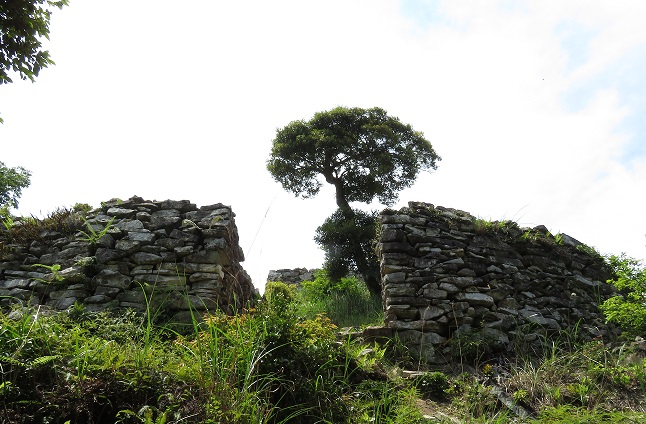 清水山城（長崎）