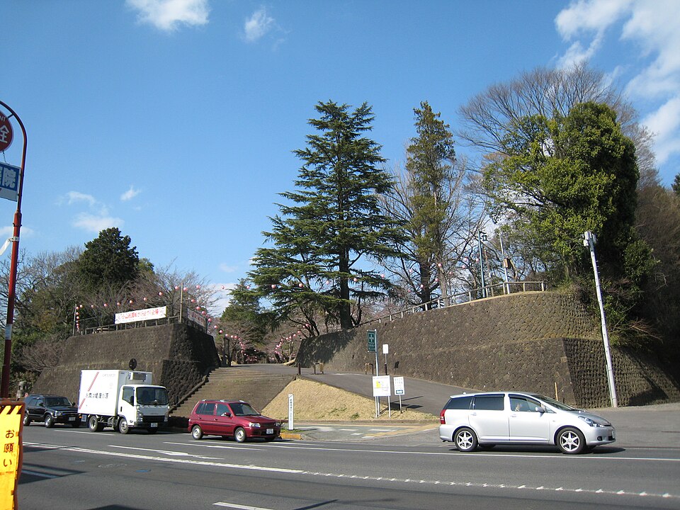 小山城 (下野国)（茨城）