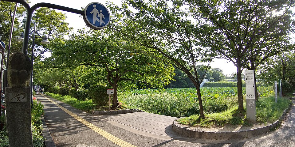 福岡城跡1号堀（福岡）