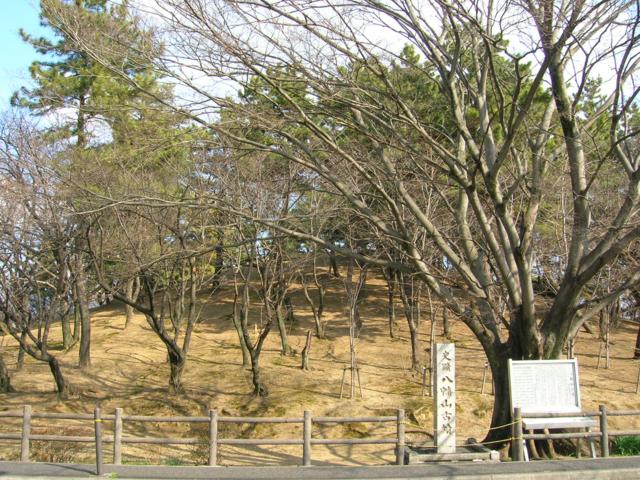 八幡山古墳（愛知）
