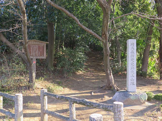 天王山塚古墳（埼玉）