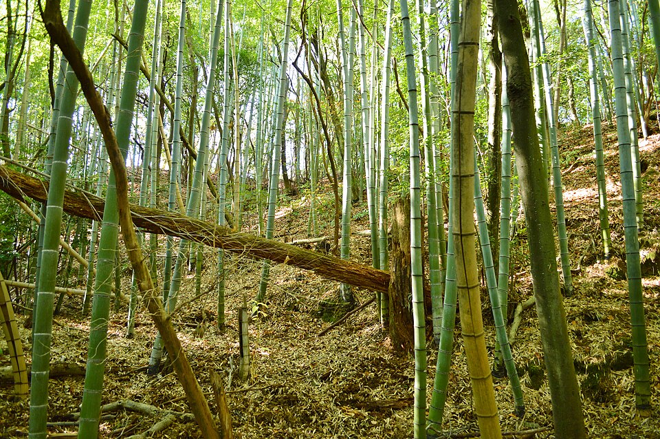 石上大塚古墳（奈良）