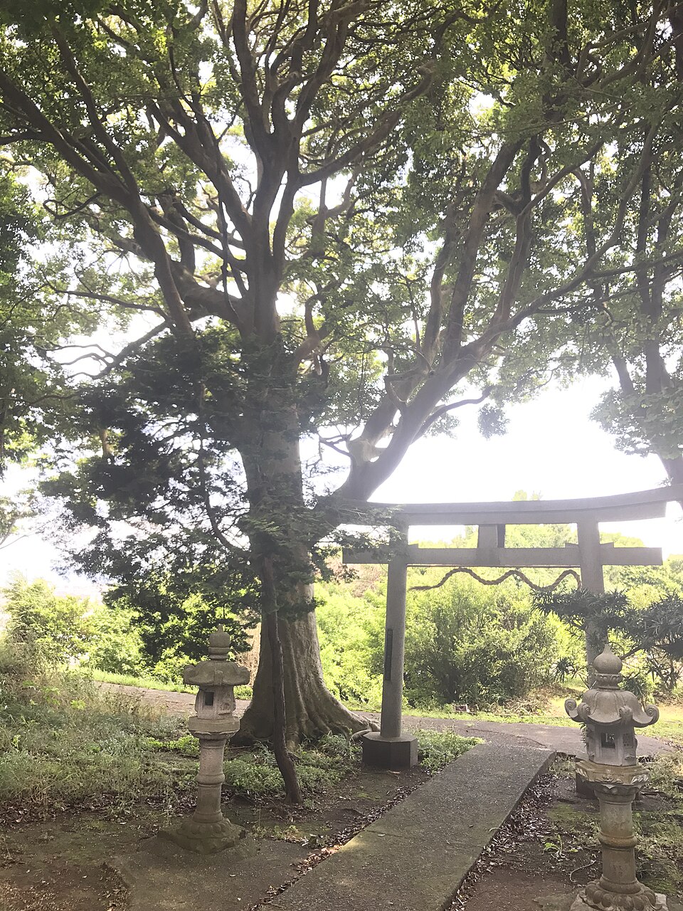 子ノ神古墳（静岡）