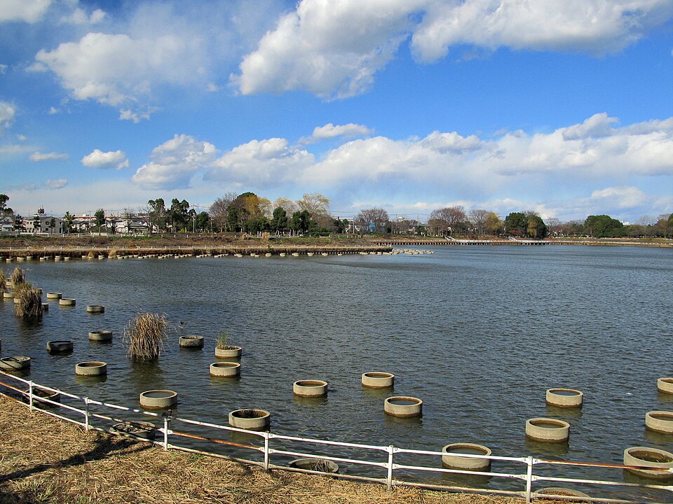 弦代公園（埼玉）