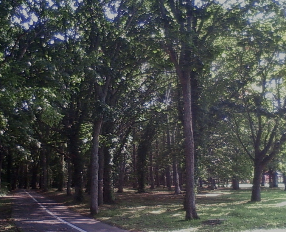 恵庭公園（北海道）