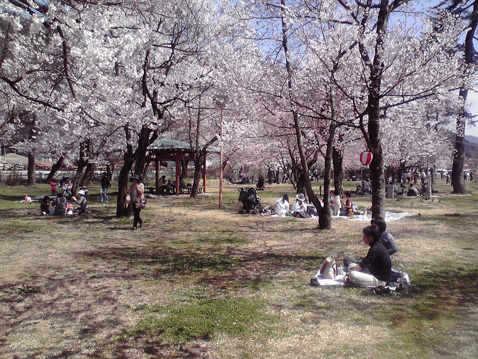 桜野公園（岐阜）