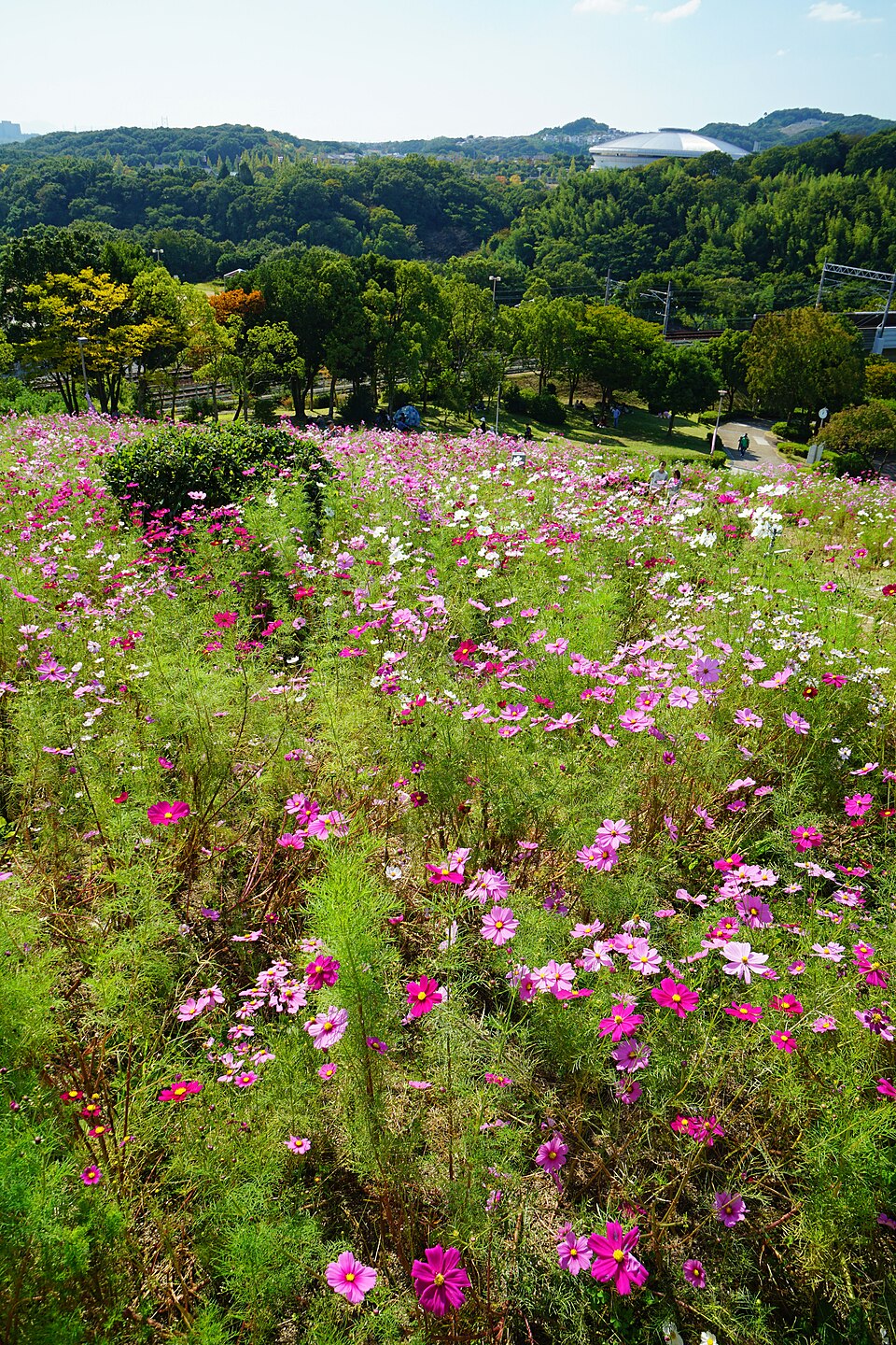 神戸総合運動公園（兵庫）
