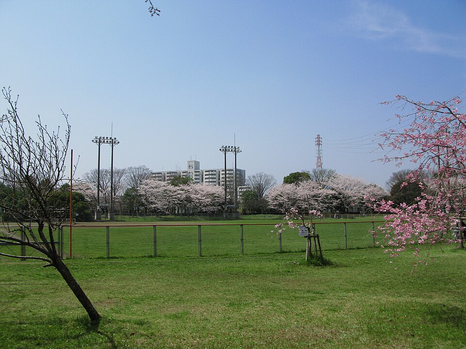 青葉公園（埼玉）