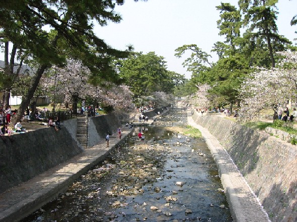 夙川公園（兵庫）