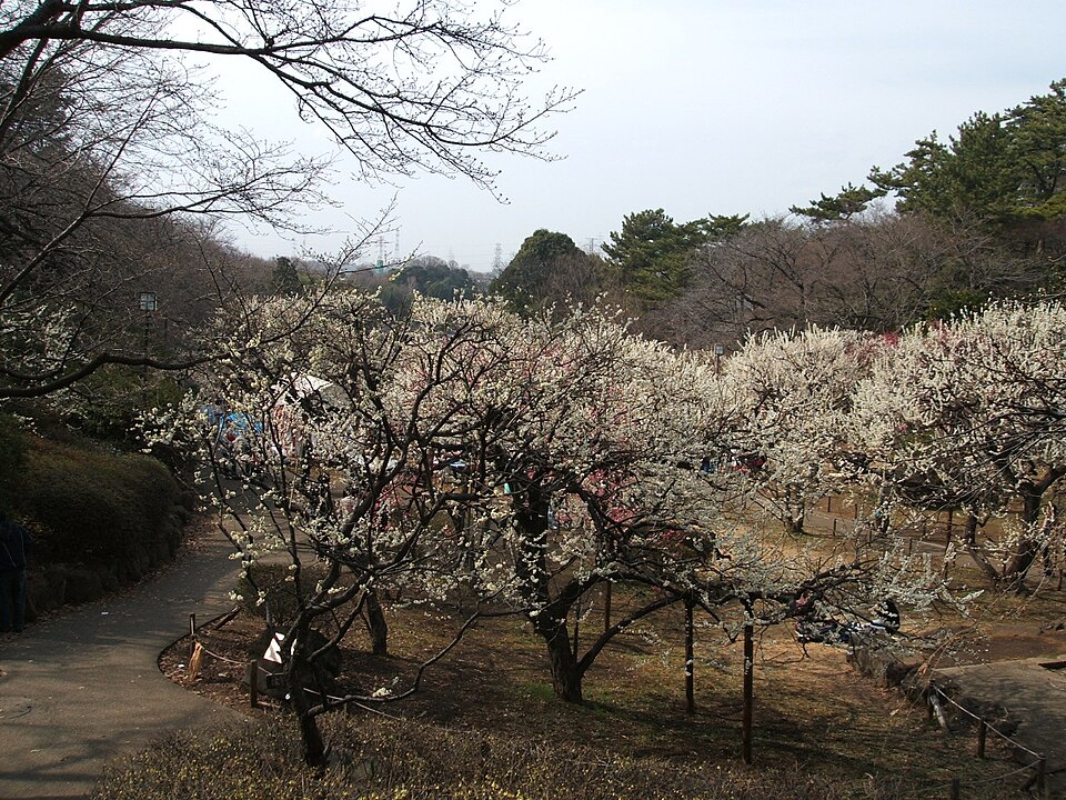 大倉山公園（神奈川）