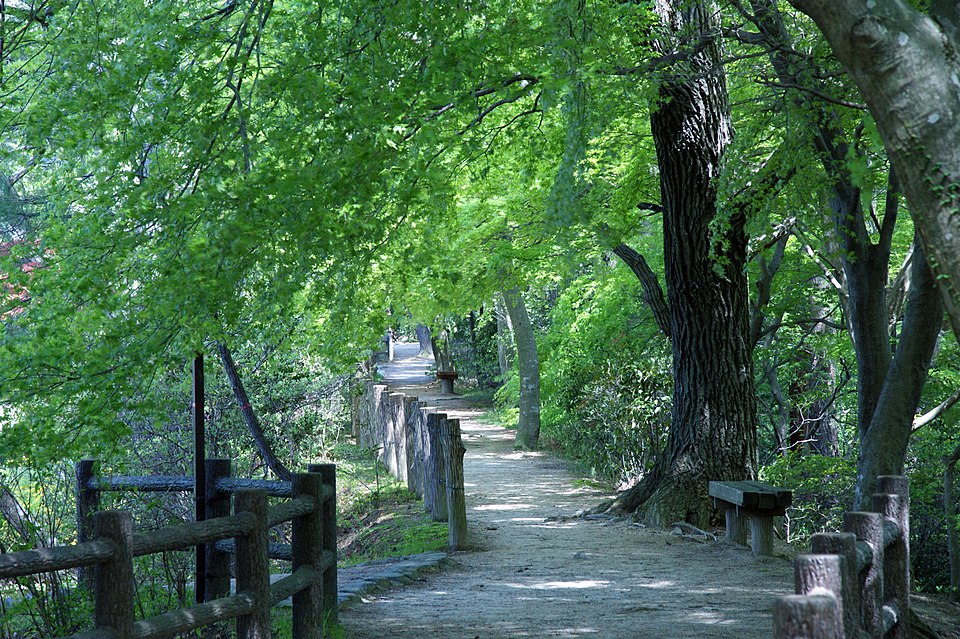 再度公園（兵庫）