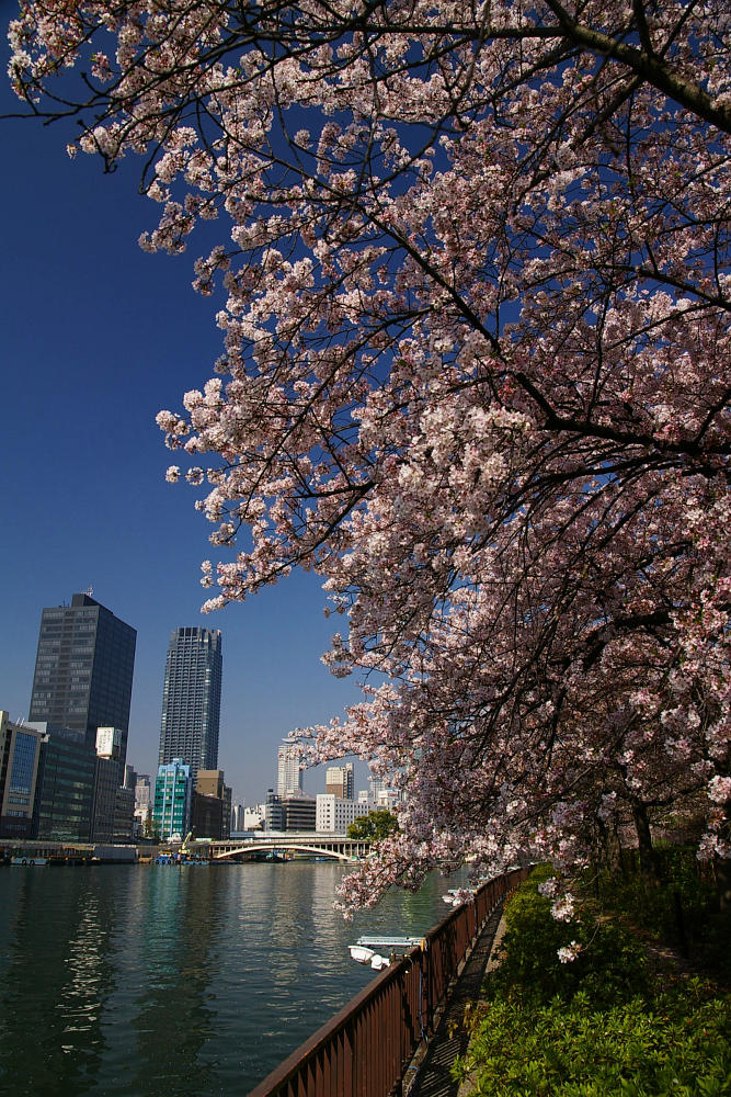 南天満公園（大阪）