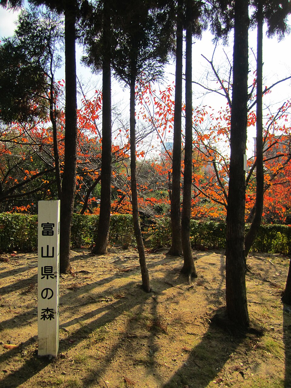 大倉山（兵庫）