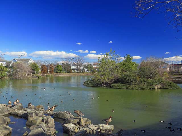 大池親水公園（埼玉）