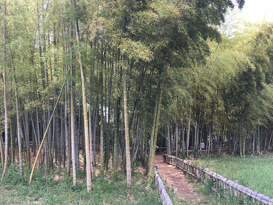 竹林公園（東京）
