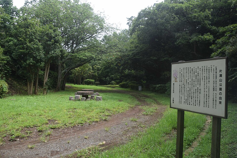 片瀬山公園（神奈川）
