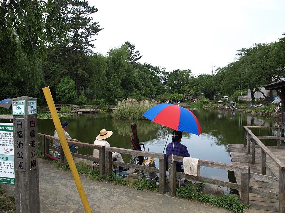 白幡池公園（神奈川）
