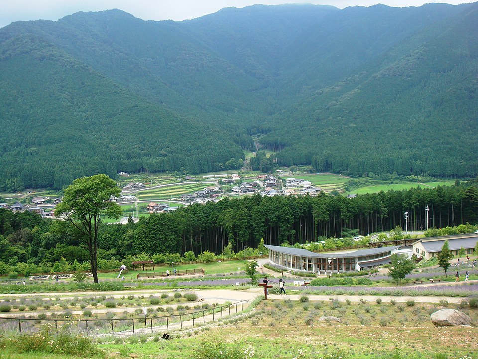 ラベンダーパーク多可（兵庫）