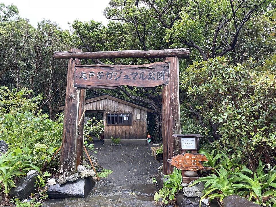 志戸子ガジュマル公園（鹿児島）