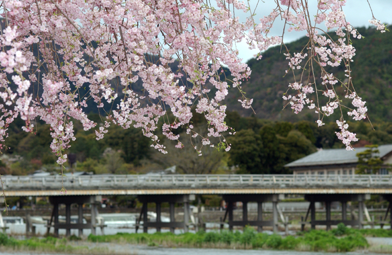 京都府立嵐山公園（京都）