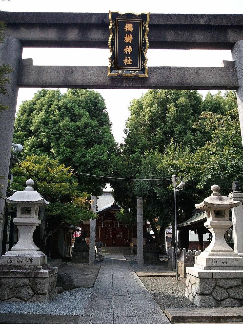 橘樹神社 (横浜市)（神奈川）