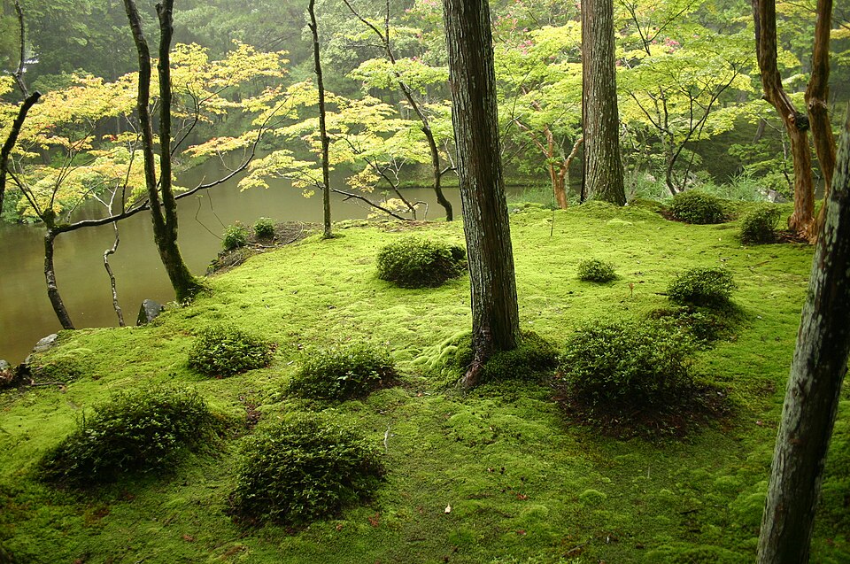 西芳寺（神奈川）