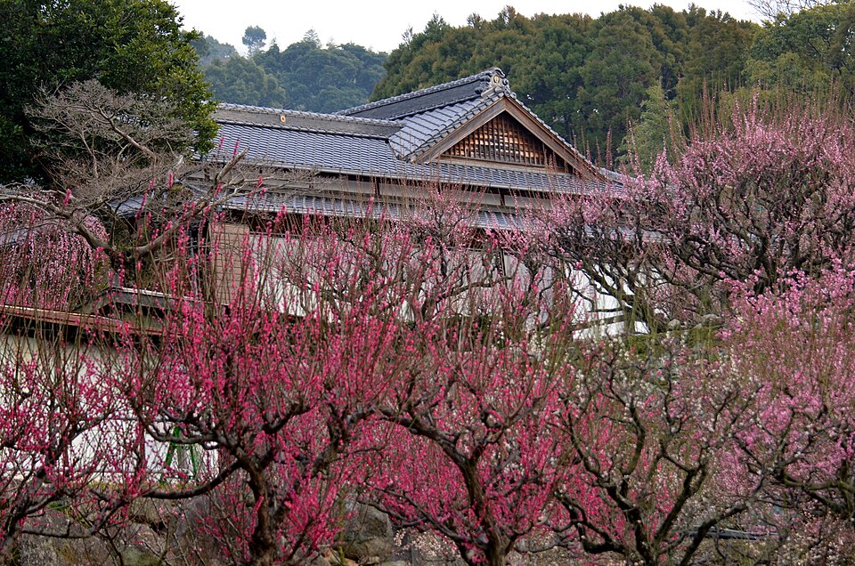 普光寺 (大牟田市)（福岡）