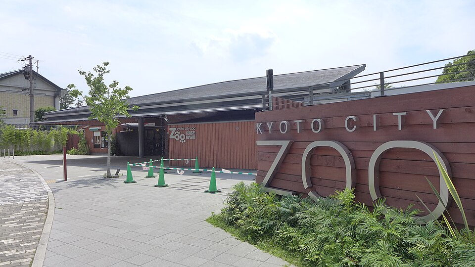 京都市動物園（京都市）
