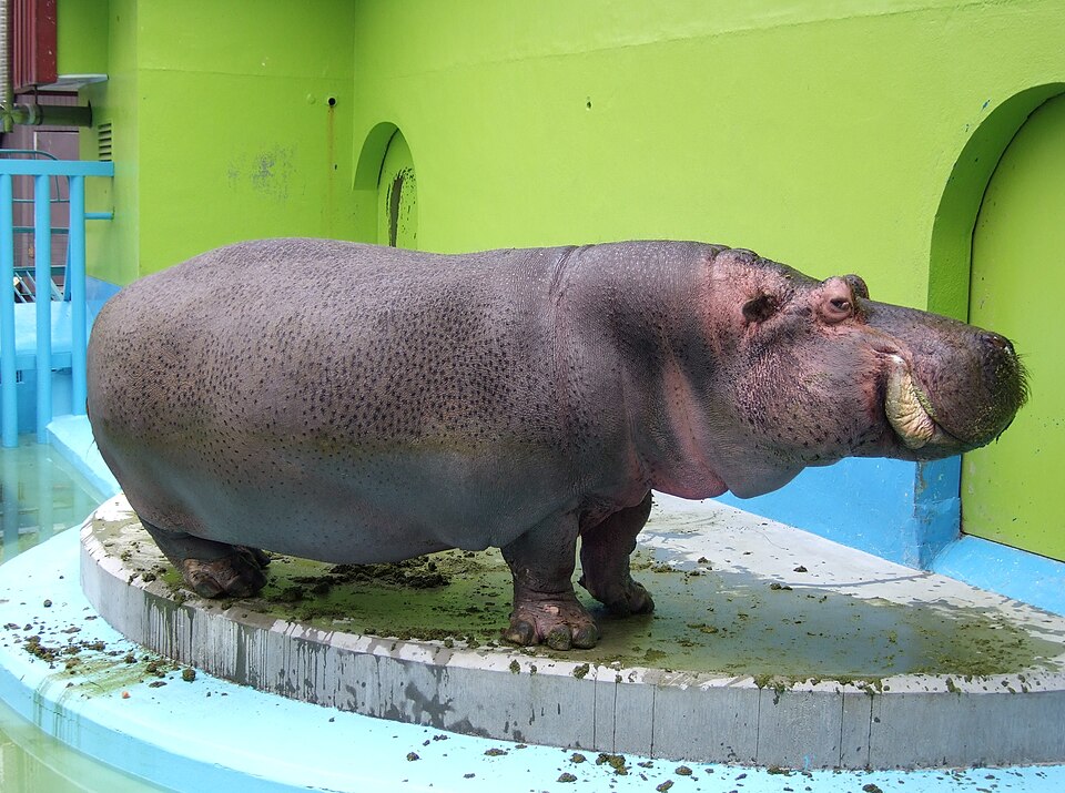 おびひろ動物園（北海道）